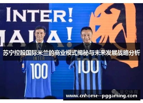 苏宁控股国际米兰的商业模式揭秘与未来发展战略分析
