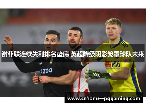 谢菲联连续失利排名垫底 英超降级阴影笼罩球队未来 谢菲联连续失利排名垫底 英超降级阴影笼罩球队未来