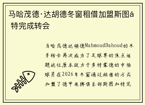 马哈茂德·达胡德冬窗租借加盟斯图加特完成转会 马哈茂德·达胡德冬窗租借加盟斯图加特完成转会