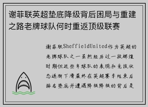 谢菲联英超垫底降级背后困局与重建之路老牌球队何时重返顶级联赛